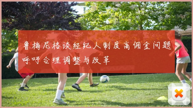 鲁梅尼格谈经纪人制度高佣金问题呼吁合理调整与改革