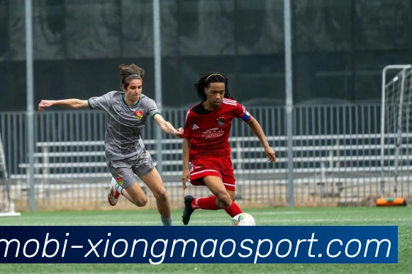 熊猫体育品牌故事