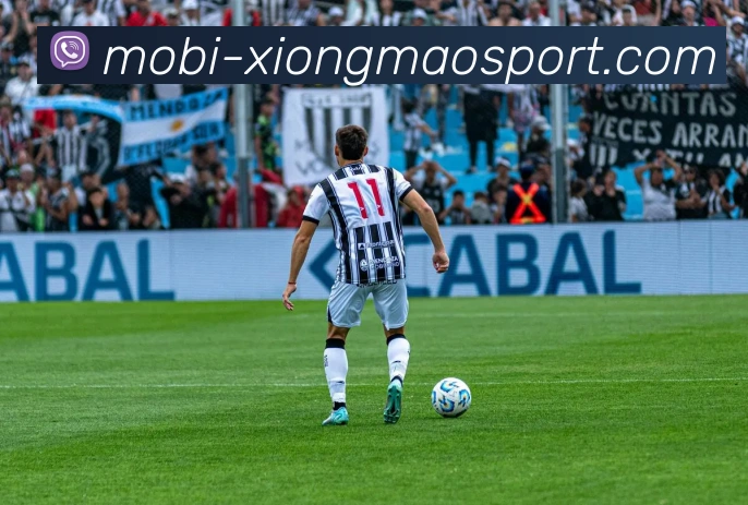 熊猫体育服务体系