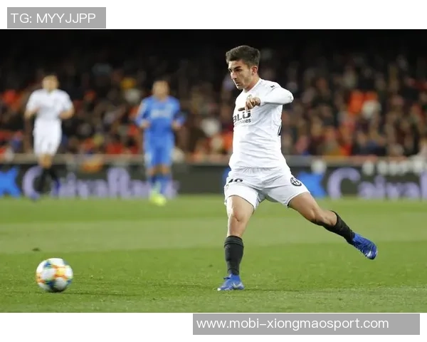 费兰回应社媒负评称躲在屏幕后打字太简单不予理会